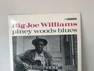 Big Joe Williams - Piney Wood Blues - Vinyl LP