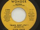 CLEO PAGE 