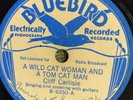 Bluebird 6350 Cliff Carlisle WILD CAT WOMAN  78rpm country 1936  EE+