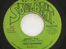 TROY JOHNSON 