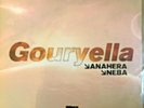 Gouryella Anahera Ferry Tiesto EDM RAVE ARMIN ASOT Promo Vinyl Record DJ TRANCE