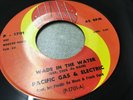 Pacific Gas & Electric - Wade In The Water - US Rock 45 1968 Power EX