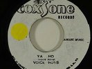 Voice Roys (Viceroys) 