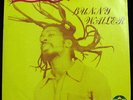 Bunny Wailer Rock Groove Vinyl LP 1981 Solomonic Records - Rare Roots Reggae Gem