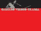 Caetano Veloso - Transa Vinyl LP Philips NEU