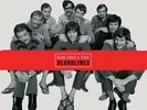 AP | Blood, Sweat & Tears - Bloodlines 8-LP-Box (45rpm, 200g-edition)