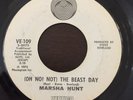 RARE Afro Funk (45) MARSHA HUNT 