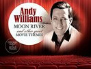 WILLIAMS,ANDY-MOON RIVER & OTHER GREAT MOVIE THEMES (H (US IMPORT) VINYL LP NEW