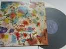 Oum Kaltsoum (Om Kalsoum) Hallet Layali Cairophon VINYL LP 1975 NEAR MINT VINYL