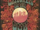 CHILDREN OF THE SUN - Flowers - Vinyl (180 gram vinyl LP)