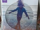 LENNY KRAVITZ - RAISE VIBRATION - 2LP PICTURE DISC SIGILLATO  2018