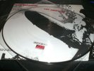 LED ZEPPELIN ONE 1   LP  VINYL PICTURE DISC
