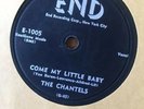 THE CHANTELS - Come My Little Baby / Maybe - END RECORDS Doo Wop 78 #E-1005