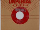 LEW WILLIAMS: Bop Ba Doo Classroom Hop US Imperial Rare Rockabilly 45 NM- HEAR