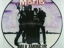 MISFITS Walk Among Us PICTURE DISC VINYL ALBUM/Glenn Danzig/Samhain