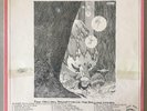 The Rolling Stones off. fan club pres TOP CLASS#27 -not TMOQ  LOOK AT PICTURES