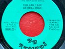 BRAZDA BROTHERS on B.B. —YOU CAN TAKE ME REAL HIGH— canada folk psych 45 | RARE