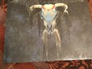 The Eagles One Of These Nights Sealed Lp First Press Textured Top Loader
