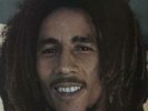 Bob Marley African Herbsman vinyl LP album record UK FA4130821 FAME 1983