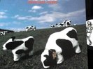 Die Ärzte - Satanische Pferde Rare Limited Lp