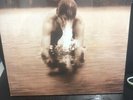 Half Moon Run - Sun Leads Me On (NEW 12