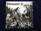 DINOSAUR (JR) HOMESTEAD RECORDS LP VINYL ALBUM