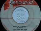 45 SKA / DELROY WILSON & WAILERS / JERK ALL NIGHT / STUDIO 1 / LISTEN