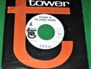 PROMO THEM Walking in the Queens Garden / I Happen To Love You 1967 Tower 45rpm