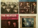Beatles US Picture Sleeve 45 7