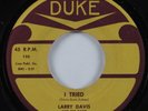 R&B Blues 45 LARRY DAVIS I Tried DUKE HEAR
