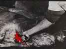 Raw Power ?– You Are The Victim - LP ITALY 1983 ORIGINAL