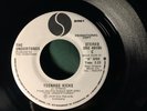 Teenage Kicks-The Undertones Promo 45 RETURNS ACCEPTED