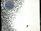 WILCO - Sky Blue Sky- 180g. 2LP Set + Cd FACTORY SEALED  Half Speed Master