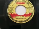 BARRINGTON LEVY - LOVE OF JAH // VERSION [ WILD FIRE 7