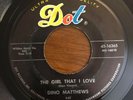 Doo Wop 45 Dino Matthews - The Girl That I Love HEAR  Dot