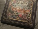 Panic At The Disco Pretty Odd Collectors Edition Vinyl Box Set