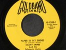 DANNY JAMES: Paper In My Shoes / Boogie In The Mud 45 Oldies