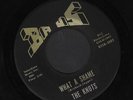 (Hear) 1967 The Knots Ohio Garage Band 45 (What a Shame / You Girl)
