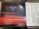 SURVIVOR - TOO HOT TO SLEEP 12
