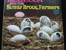 REBECCA & THE SUNNY BROOK FARMERS US Musicor 1969 1st pressing Psych LP *MINT*