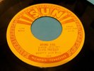 ELVIS PRESLEY Hound Dog / I Want You ... SUN 224 Mariano REPRO '73 nm- 45