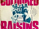 The Coloured Raisins - One Way Love - Ex Con Rare TROJAN 7