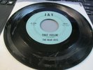 Rare Northern Soul 45-The BLUE JAYS-That Feelin'/Point Of View-Jay 4815/VG-/1965