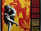 GUNS N` ROSES / USE YOUR ILLUSION I, 2LP