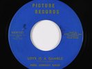 Doo-Wop Teen 45 - Andy Laska/Dynamics - Love Is A Gamble - Picture VG++ obscure