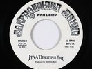 Psych 45 - It's A Beautiful Day - White Bird - San Francisco Sound - mp3