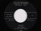 Rock & Roll Inst. 45 - Bob Vidone & The Rhythm Rockers - Weird - Fleetwood - mp3