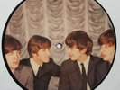 7/45  THE BEATLES : I WANT TO HOLD YOUR HAND (UK) (PICTURE DISC)