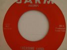 THE MIDDLE WINDOW-TREASURE LAND B/W LET MY HEART HEAL 45-67 GARM ORIGINAL-GARAGE