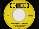 Rockabilly/Teen 45 - Hesitations - Wild Little Willie - D-Town - mp3